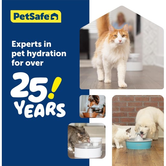 PetSafe Viva Drinking Fountain for Cats and Small Dogs - 4.1 l/140 oz, Indoor Cat Drinking Fountain with Extremely Quiet Pump, Dishwasher Safe, Easy Cleaning, Water Filter Included PetSafe Viva Drinking Fountain for Cats and Small Dogs - 4.1 l/140 oz, Indoor Cat Drinking Fountain with Extremely Quiet Pump, Dishwasher Safe, Easy Cleaning, Water Filter Included