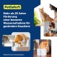 PetSafe Viva Drinking Fountain for Cats and Small Dogs - 4.1 l/140 oz, Indoor Cat Drinking Fountain with Extremely Quiet Pump, Dishwasher Safe, Easy Cleaning, Water Filter Included PetSafe Viva Drinking Fountain for Cats and Small Dogs - 4.1 l/140 oz, Indoor Cat Drinking Fountain with Extremely Quiet Pump, Dishwasher Safe, Easy Cleaning, Water Filter Included