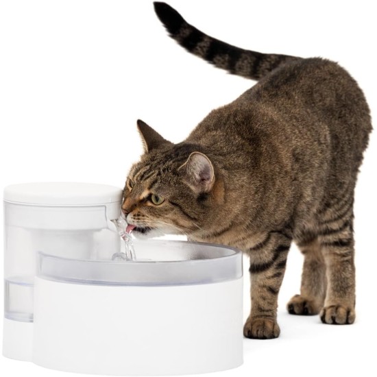 PetSafe Viva Drinking Fountain for Cats and Small Dogs - 4.1 l/140 oz, Indoor Cat Drinking Fountain with Extremely Quiet Pump, Dishwasher Safe, Easy Cleaning, Water Filter Included PetSafe Viva Drinking Fountain for Cats and Small Dogs - 4.1 l/140 oz, Indoor Cat Drinking Fountain with Extremely Quiet Pump, Dishwasher Safe, Easy Cleaning, Water Filter Included
