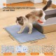 Petinstinct Cat Litter Tray Mat, 75 x 55 cm, Extra Large Cat Litter Mat, Double Layer Design of Honeycomb Mat, Waterproof and Durable, Cat Litter Tray Underlay, Brown Petinstinct Cat Litter Tray Mat, 75 x 55 cm, Extra Large Cat Litter Mat, Double Layer Design of Honeycomb Mat, Waterproof and Durable, Cat Litter Tray Underlay, Brown