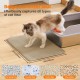 Petinstinct Cat Litter Tray Mat, 75 x 55 cm, Extra Large Cat Litter Mat, Double Layer Design of Honeycomb Mat, Waterproof and Durable, Cat Litter Tray Underlay, Brown Petinstinct Cat Litter Tray Mat, 75 x 55 cm, Extra Large Cat Litter Mat, Double Layer Design of Honeycomb Mat, Waterproof and Durable, Cat Litter Tray Underlay, Brown