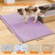 Petinstinct Cat Litter Tray Mat, 75 x 55 cm, Large Double Layer Cat Litter Tray Underlay, Waterproof, Durable Design, Honeycomb Cat Litter Mat, Cat Litter Tray Mat, XL, Purple Petinstinct Cat Litter Tray Mat, 75 x 55 cm, Large Double Layer Cat Litter Tray Underlay, Waterproof, Durable Design, Honeycomb Cat Litter Mat, Cat Litter Tray Mat, XL, Purple