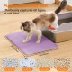 Petinstinct Cat Litter Tray Mat, 75 x 55 cm, Large Double Layer Cat Litter Tray Underlay, Waterproof, Durable Design, Honeycomb Cat Litter Mat, Cat Litter Tray Mat, XL, Purple Petinstinct Cat Litter Tray Mat, 75 x 55 cm, Large Double Layer Cat Litter Tray Underlay, Waterproof, Durable Design, Honeycomb Cat Litter Mat, Cat Litter Tray Mat, XL, Purple