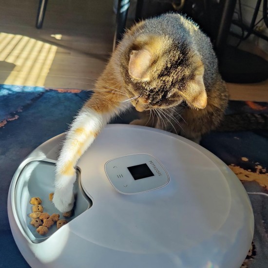 Pettadore Nutri Turn - Automatic Feeder for Cats/Dogs - Smart with App - 6 Meals Wet and Dry Food Pettadore Nutri Turn - Automatic Feeder for Cats/Dogs - Smart with App - 6 Meals Wet and Dry Food