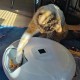 Pettadore Nutri Turn - Automatic Feeder for Cats/Dogs - Smart with App - 6 Meals Wet and Dry Food Pettadore Nutri Turn - Automatic Feeder for Cats/Dogs - Smart with App - 6 Meals Wet and Dry Food