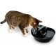 Pioneer Pet Raindrop Ceramic Drinking Fountain for Pets, White Pioneer Pet Raindrop Ceramic Drinking Fountain for Pets, White