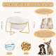 Raised Ceramic Cat Bowl - Anti Vomiting Feeding Bowl Cats High - Cat Bowls with Metal Stand - Bowl Dog Small - Dog Bowl Puppies - Cat Bowl for Food and Water - 480 ml