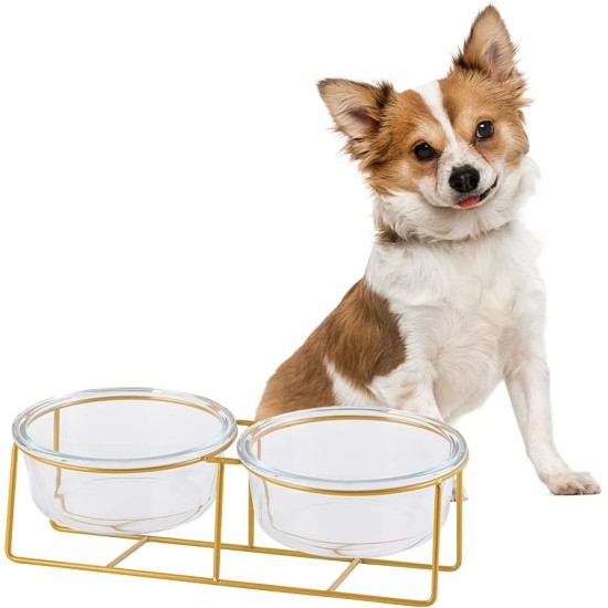 Raised Ceramic Cat Bowl - Anti Vomiting Feeding Bowl Cats High - Cat Bowls with Metal Stand - Bowl Dog Small - Dog Bowl Puppies - Cat Bowl for Food and Water - 480 ml Raised Ceramic Cat Bowl - Anti Vomiting Feeding Bowl Cats High - Cat Bowls with Metal Stand - Bowl Dog Small - Dog Bowl Puppies - Cat Bowl for Food and Water - 480 ml