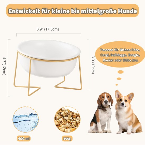 Raised Ceramic Cat Bowl - Anti Vomiting Feeding Bowl Cats High - Cat Bowls with Metal Stand - Bowl Dog Small - Dog Bowl Puppies - Cat Bowl for Food and Water - 480 ml Raised Ceramic Cat Bowl - Anti Vomiting Feeding Bowl Cats High - Cat Bowls with Metal Stand - Bowl Dog Small - Dog Bowl Puppies - Cat Bowl for Food and Water - 480 ml