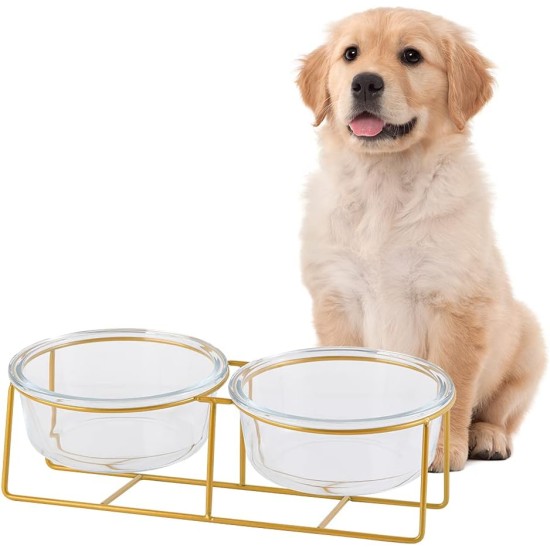 Raised Ceramic Cat Bowl - Anti Vomiting Feeding Bowl Cats High - Cat Bowls with Metal Stand - Bowl Dog Small - Dog Bowl Puppies - Cat Bowl for Food and Water - 480 ml Raised Ceramic Cat Bowl - Anti Vomiting Feeding Bowl Cats High - Cat Bowls with Metal Stand - Bowl Dog Small - Dog Bowl Puppies - Cat Bowl for Food and Water - 480 ml