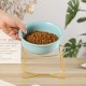 Raised Ceramic Cat Bowl - Anti Vomiting Feeding Bowl Cats High - Cat Bowls with Metal Stand - Bowl Dog Small - Dog Bowl Puppies - Cat Bowl for Food and Water - 480 ml