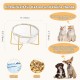 Raised Ceramic Cat Bowl - Anti Vomiting Feeding Bowl Cats High - Cat Bowls with Metal Stand - Bowl Dog Small - Dog Bowl Puppies - Cat Bowl for Food and Water - 480 ml