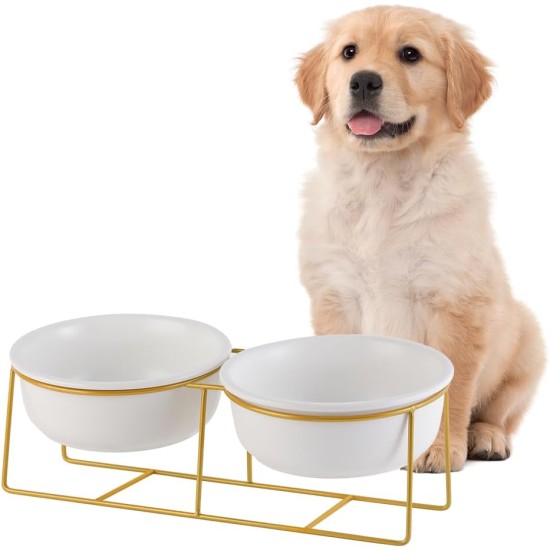 Raised Ceramic Cat Bowl - Anti Vomiting Feeding Bowl Cats High - Cat Bowls with Metal Stand - Bowl Dog Small - Dog Bowl Puppies - Cat Bowl for Food and Water - 480 ml Raised Ceramic Cat Bowl - Anti Vomiting Feeding Bowl Cats High - Cat Bowls with Metal Stand - Bowl Dog Small - Dog Bowl Puppies - Cat Bowl for Food and Water - 480 ml