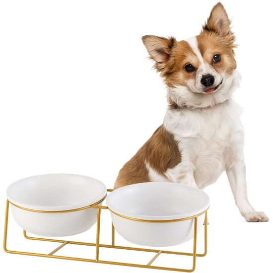 Raised Ceramic Cat Bowl - Anti Vomiting Feeding Bowl Cats High - Cat Bowls with Metal Stand - Bowl Dog Small - Dog Bowl Puppies - Cat Bowl for Food and Water - 480 ml Raised Ceramic Cat Bowl - Anti Vomiting Feeding Bowl Cats High - Cat Bowls with Metal Stand - Bowl Dog Small - Dog Bowl Puppies - Cat Bowl for Food and Water - 480 ml