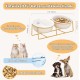 Raised Ceramic Cat Bowl - Anti Vomiting Feeding Bowl Cats High - Cat Bowls with Metal Stand - Bowl Dog Small - Dog Bowl Puppies - Cat Bowl for Food and Water - 480 ml