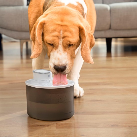 Refopet Drinking Fountain for Cats with Battery and Sensor InnovaGoods Refopet Drinking Fountain for Cats with Battery and Sensor InnovaGoods