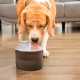 Refopet Drinking Fountain for Cats with Battery and Sensor InnovaGoods Refopet Drinking Fountain for Cats with Battery and Sensor InnovaGoods