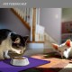 Reopet Non-Stick Silicone Bowl Mat FDA Approved Waterproof Reopet Non-Stick Silicone Bowl Mat FDA Approved Waterproof