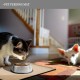 Reopet Non-Stick Silicone Bowl Mat FDA Approved Waterproof Reopet Non-Stick Silicone Bowl Mat FDA Approved Waterproof
