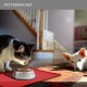 Reopet Non-Stick Silicone Bowl Mat FDA Approved Waterproof Reopet Non-Stick Silicone Bowl Mat FDA Approved Waterproof