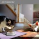 Reopet Silicone Pet Feeding Mats, Waterproof Dog and Cat Place Mats with Raised Edges, Dog and Cat Bowl Mats, Choice of Sizes Reopet Silicone Pet Feeding Mats, Waterproof Dog and Cat Place Mats with Raised Edges, Dog and Cat Bowl Mats, Choice of Sizes
