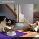 Reopet Silicone Pet Feeding Mats, Waterproof Dog and Cat Place Mats with Raised Edges, Dog and Cat Bowl Mats, Choice of Sizes Reopet Silicone Pet Feeding Mats, Waterproof Dog and Cat Place Mats with Raised Edges, Dog and Cat Bowl Mats, Choice of Sizes