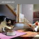 Reopet Silicone Pet Feeding Mats, Waterproof Dog and Cat Place Mats with Raised Edges, Dog and Cat Bowl Mats, Choice of Sizes Reopet Silicone Pet Feeding Mats, Waterproof Dog and Cat Place Mats with Raised Edges, Dog and Cat Bowl Mats, Choice of Sizes