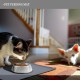 Reopet Silicone Pet Feeding Mats, Waterproof Dog and Cat Place Mats with Raised Edges, Dog and Cat Bowl Mats, Choice of Sizes Reopet Silicone Pet Feeding Mats, Waterproof Dog and Cat Place Mats with Raised Edges, Dog and Cat Bowl Mats, Choice of Sizes