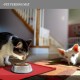 Reopet Silicone Pet Feeding Mats, Waterproof Dog and Cat Place Mats with Raised Edges, Dog and Cat Bowl Mats, Choice of Sizes Reopet Silicone Pet Feeding Mats, Waterproof Dog and Cat Place Mats with Raised Edges, Dog and Cat Bowl Mats, Choice of Sizes