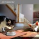 Reopet Silicone Pet Feeding Mats, Waterproof Dog and Cat Place Mats with Raised Edges, Dog and Cat Bowl Mats, Choice of Sizes Reopet Silicone Pet Feeding Mats, Waterproof Dog and Cat Place Mats with Raised Edges, Dog and Cat Bowl Mats, Choice of Sizes