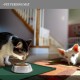 Reopet Silicone Pet Feeding Mats, Waterproof Dog and Cat Place Mats with Raised Edges, Dog and Cat Bowl Mats, Choice of Sizes Reopet Silicone Pet Feeding Mats, Waterproof Dog and Cat Place Mats with Raised Edges, Dog and Cat Bowl Mats, Choice of Sizes