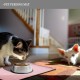 Reopet Silicone Pet Feeding Mats, Waterproof Dog and Cat Place Mats with Raised Edges, Dog and Cat Bowl Mats, Choice of Sizes Reopet Silicone Pet Feeding Mats, Waterproof Dog and Cat Place Mats with Raised Edges, Dog and Cat Bowl Mats, Choice of Sizes