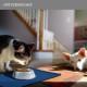 Reopet Silicone Pet Feeding Mats, Waterproof Dog and Cat Place Mats with Raised Edges, Dog and Cat Bowl Mats, Choice of Sizes Reopet Silicone Pet Feeding Mats, Waterproof Dog and Cat Place Mats with Raised Edges, Dog and Cat Bowl Mats, Choice of Sizes