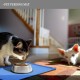 Reopet Silicone Pet Feeding Mats, Waterproof Dog and Cat Place Mats with Raised Edges, Dog and Cat Bowl Mats, Choice of Sizes Reopet Silicone Pet Feeding Mats, Waterproof Dog and Cat Place Mats with Raised Edges, Dog and Cat Bowl Mats, Choice of Sizes