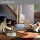 Reopet Silicone Pet Feeding Mats, Waterproof Dog and Cat Place Mats with Raised Edges, Dog and Cat Bowl Mats, Choice of Sizes Reopet Silicone Pet Feeding Mats, Waterproof Dog and Cat Place Mats with Raised Edges, Dog and Cat Bowl Mats, Choice of Sizes
