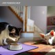 Reopet Silicone Pet Feeding Mats, Waterproof Dog and Cat Place Mats with Raised Edges, Dog and Cat Bowl Mats, Choice of Sizes Reopet Silicone Pet Feeding Mats, Waterproof Dog and Cat Place Mats with Raised Edges, Dog and Cat Bowl Mats, Choice of Sizes