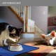 Reopet Silicone Pet Feeding Mats, Waterproof Dog and Cat Place Mats with Raised Edges, Dog and Cat Bowl Mats, Choice of Sizes Reopet Silicone Pet Feeding Mats, Waterproof Dog and Cat Place Mats with Raised Edges, Dog and Cat Bowl Mats, Choice of Sizes
