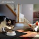 Reopet Silicone Pet Feeding Mats, Waterproof Dog and Cat Place Mats with Raised Edges, Dog and Cat Bowl Mats, Choice of Sizes Reopet Silicone Pet Feeding Mats, Waterproof Dog and Cat Place Mats with Raised Edges, Dog and Cat Bowl Mats, Choice of Sizes