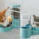 Restokki Rabbit Feeder Drinking Bottle Feeder and Water Dispenser for Dogs, Cat Feeder Rabbit Feeder Water Dispenser Rabbit [Drinking Water + Feeder]