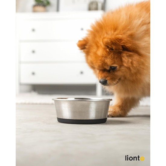 Stainless Steel Food Bowl, 600ml, Food Grade Dog Bowl with Non-Slip Silicone Base, Rustproof Water Bowl for Dogs and Cats, Dishwasher Safe Stainless Steel Food Bowl, 600ml, Food Grade Dog Bowl with Non-Slip Silicone Base, Rustproof Water Bowl for Dogs and Cats, Dishwasher Safe