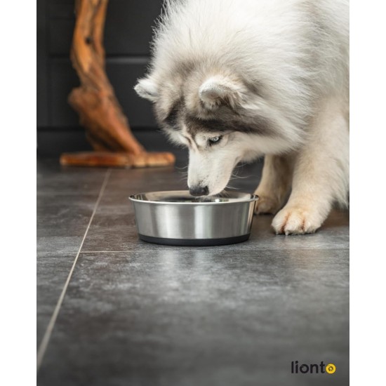 Stainless Steel Food Bowl, 600ml, Food Grade Dog Bowl with Non-Slip Silicone Base, Rustproof Water Bowl for Dogs and Cats, Dishwasher Safe Stainless Steel Food Bowl, 600ml, Food Grade Dog Bowl with Non-Slip Silicone Base, Rustproof Water Bowl for Dogs and Cats, Dishwasher Safe