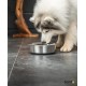 Stainless Steel Food Bowl, 600ml, Food Grade Dog Bowl with Non-Slip Silicone Base, Rustproof Water Bowl for Dogs and Cats, Dishwasher Safe Stainless Steel Food Bowl, 600ml, Food Grade Dog Bowl with Non-Slip Silicone Base, Rustproof Water Bowl for Dogs and Cats, Dishwasher Safe