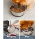 Stainless Steel Food Bowl, 600ml, Food Grade Dog Bowl with Non-Slip Silicone Base, Rustproof Water Bowl for Dogs and Cats, Dishwasher Safe Stainless Steel Food Bowl, 600ml, Food Grade Dog Bowl with Non-Slip Silicone Base, Rustproof Water Bowl for Dogs and Cats, Dishwasher Safe
