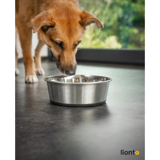 Stainless Steel Food Bowl, 600ml, Food Grade Dog Bowl with Non-Slip Silicone Base, Rustproof Water Bowl for Dogs and Cats, Dishwasher Safe Stainless Steel Food Bowl, 600ml, Food Grade Dog Bowl with Non-Slip Silicone Base, Rustproof Water Bowl for Dogs and Cats, Dishwasher Safe