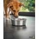 Stainless Steel Food Bowl, 600ml, Food Grade Dog Bowl with Non-Slip Silicone Base, Rustproof Water Bowl for Dogs and Cats, Dishwasher Safe Stainless Steel Food Bowl, 600ml, Food Grade Dog Bowl with Non-Slip Silicone Base, Rustproof Water Bowl for Dogs and Cats, Dishwasher Safe