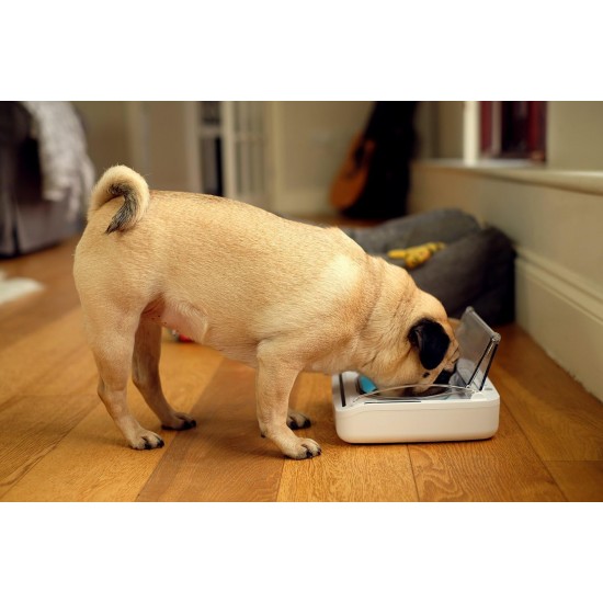 Surefeed feed bowl with motion control made of plastic, white Surefeed feed bowl with motion control made of plastic, white