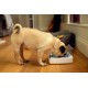 Surefeed feed bowl with motion control made of plastic, white Surefeed feed bowl with motion control made of plastic, white