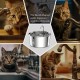 Tomxcute Stainless Steel Drinking Fountain for Cats 3.2 L, Cat Drinking Fountain for Dogs with Water Level Window - with a Set of Filters for Multi-Cat Household and Dogs Tomxcute Stainless Steel Drinking Fountain for Cats 3.2 L, Cat Drinking Fountain for Dogs with Water Level Window - with a Set of Filters for Multi-Cat Household and Dogs