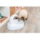 Trixie Curved Jet Fountain, White, 2.5L/25×24.5×35cm Trixie Curved Jet Fountain, White, 2.5L/25×24.5×35cm