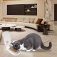 Tyafzzn Automatic Cat Feeder for Meals, Automatic Cat Feeder, Automatic Feeder for Cats and Small Dogs